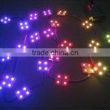 2015 Epistar SMD5050 Diffusing LED Module IC Waterproof