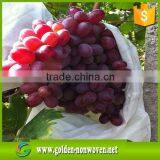 100% Polypropylene Nonwoven Fabric Agriculture Spunbond Nonwoven Fabric for Fuit Protect thumbnail-6