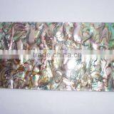 Paua Shell Wall Tile