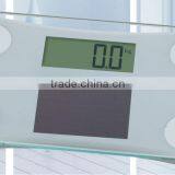 Solar Portable Personal Scale
