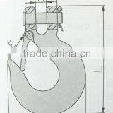 Clevis Slip Hook With Latch