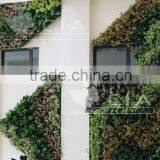 Hot Sale Hotel Project Artificial Plant Green Wall thumbnail-3