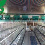 Automatic Chicken Feeding Equipment thumbnail-3