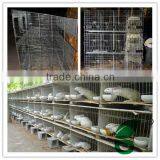 High Quality Advanized Large Animal Cages for Sale thumbnail-1