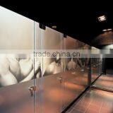 Decorative Art Glass Painted Interior Glass Partition Wall thumbnail-1