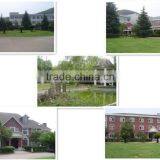 N1J-GM01-76 Ajustable Speed Electric Animal Clippers With Ajustable Speed thumbnail-4