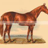 Hermit 20x30 Poster thumbnail-1