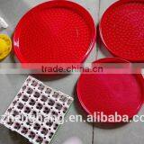 Poultry Chicken Feeders and Drinkers/ Mini Feeders thumbnail-4