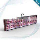 2014 best apollo18 LED groei kweeklampen for plants/Hydroponics alibaba made in China