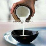 VietNamese Coconut Milk in Can Fat 17% - 22% thumbnail-3