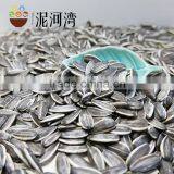 5009 Sunflower Seeds Market Price thumbnail-4