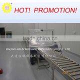 Single Chain Roller Conveyor