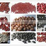 England Red Kidney Beans thumbnail-1