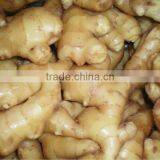 GAP Dried Ginger Aduwa in Season thumbnail-1