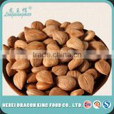Dry Apricot Kernel Seeds