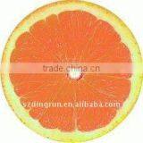 Velour Printing Round Beach Towel 100% Cotton