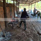 White Charcoal in Lao thumbnail-6