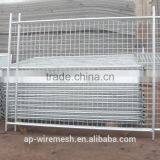 Galvanized or Pvc Coated Welded Wire Mesh Fence Panel (Since1984 Factory)