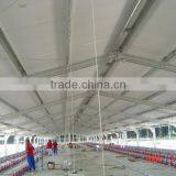 Poultry Farming Design thumbnail-1