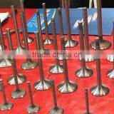 Farm Diesel Engine Specific Exhaust and Intake Valves for Tractor thumbnail-3
