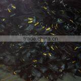 Motorcycle Fork Tube thumbnail-2