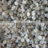 Wholesale Trocas Seashell Button Blank for Shirt
