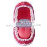 Dental Model, 32 Teeth Model thumbnail-1