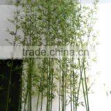 SJWS2015032404 Guangzhou Manufacturer Whole Sell Customized Garden Decoration Artifcial Fake Bamboo Tree
