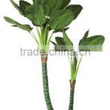 HX010471 Fake Bottle Plant thumbnail-2