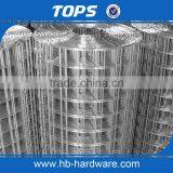 China Low Carbon Hot Dipped 1/4 Inch Galvanized Welded Wire Mesh thumbnail-2