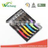 WCJ849 Hign Quality 6 Pcs Cutlery Set Wholesale PLastic Fork Set thumbnail-2