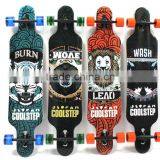 HSJ104 Custom Mini USB Charge Led Skateboard for Adult thumbnail-4