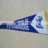 Double Side Printing Pennant thumbnail-4
