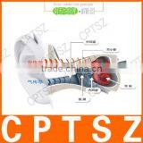 The New LF18 Smart Bone Conduction Headset Sport After Hanging Wireless Bluetooth Stereo Headset thumbnail-6