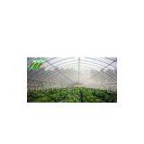 Plastic Singel Tunnel Greenhouse