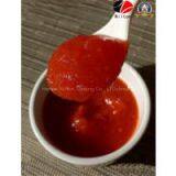 Aseptic Chinese Nilton Delicious Tomato Paste Ketchup thumbnail-2