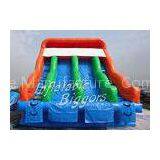 Garden Renting Blow Up Water Slides Double EN71 With Tarpaulin 18OZ , Fire-Resistant thumbnail-1