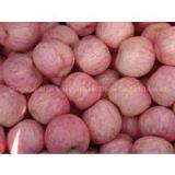 Fuji Apples,come From Yantai Shandong China thumbnail-1