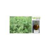 Epimedium P.E. thumbnail-1