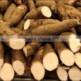 Best Quality of Fresh Cassava Tapioca From Vietnam thumbnail-2
