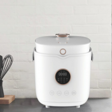 High appearance level rice cooker,Touch control panel for rice cooker