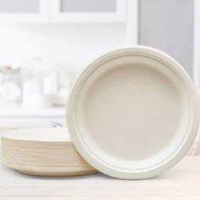 Biodegradable Sugarcane Bagasse Pulp Tableware thumbnail-2