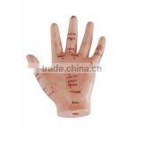 PVC Acupuncture Hand Model 13cm