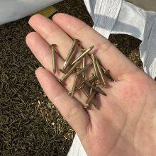Common Wire Nails Loose Packaging - Custom Packaging Available thumbnail-3