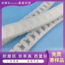 60P Industrial Plastic Transmission Chain， PVDF Material，The Pin is Also Made of PVDF Material，Resistant to Acid and Alkali Corrosion thumbnail-1