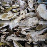 Market Prices for Mushroom thumbnail-4