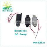 Mini Battery Powered Water Pump