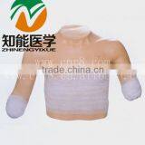 BIX-LV13 Senior High-order Bind up Model thumbnail-1