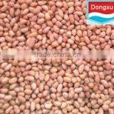 Peanut Kernel