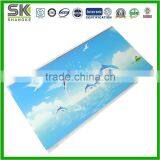 Children Room Decoration Blue Sky Hot Stamping Pvc Ceiling and Wall Panel Strip thumbnail-1